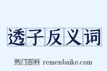 透子反义词是什么意思的图片